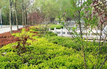 广元职工医学院2019报名时间及报名方式_招生信息