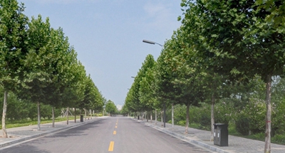 四川省阿坝卫生学校2019招生录取分数线_招生信息