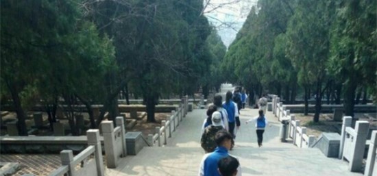 济南护理职业学院地址在哪里_招生信息