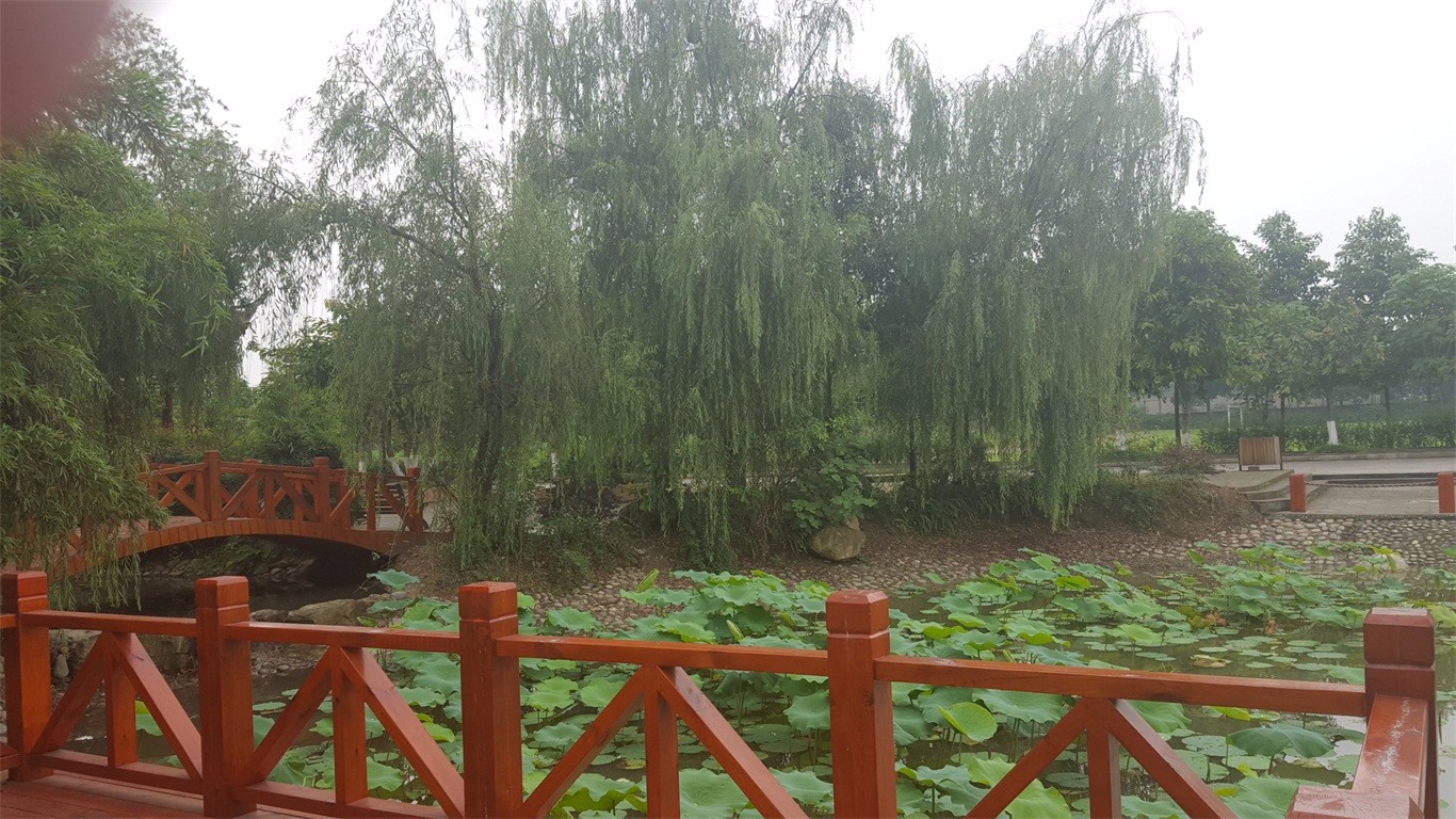 2019年成都信息学校卫生学校怎么样_招生信息