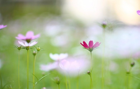 2019年重庆医药卫生学校怎么样_招生信息