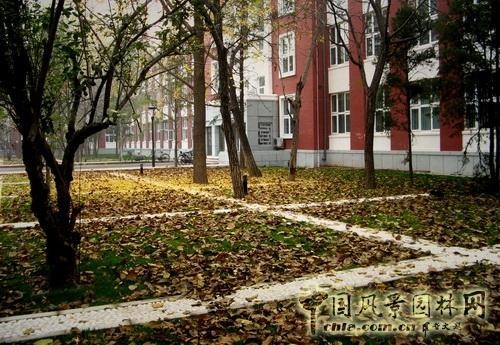 2019年北大医学部护理专业怎么样_招生信息