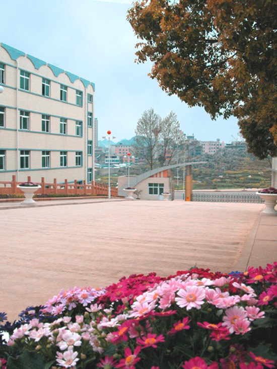 安顺职业技术学院有哪些专业及什么专业好_招生信息