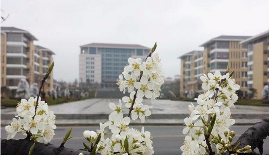 贵州医科大学寝室宿舍条件与学校食堂环境图片_招生信息