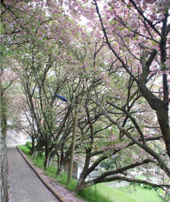 贵州省人民医院护士学校简介及简介计划要求_招生信息