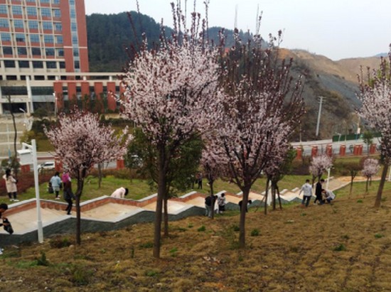遵义医药高等专科学校简介老师QQ及电话_招生信息