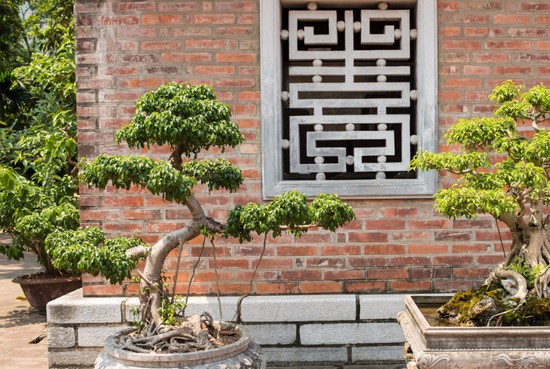 重庆医药经贸卫生学校有哪些专业及什么专业好_招生信息