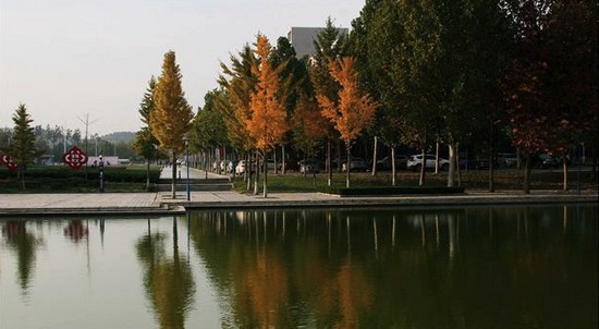 2019年山东中医药大学怎么样_招生信息
