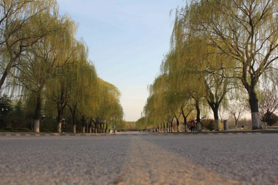 2019年泰山医学院怎么样_招生信息