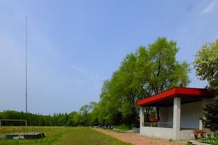 2019年黑龙江省伊春卫生学校怎么样_招生信息