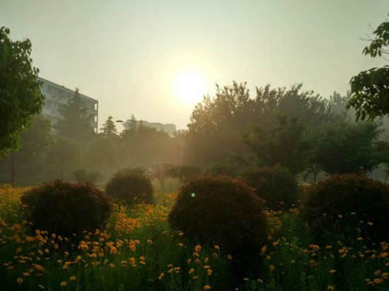 2019年常州大学制药与生命科学学院怎么样_招生信息